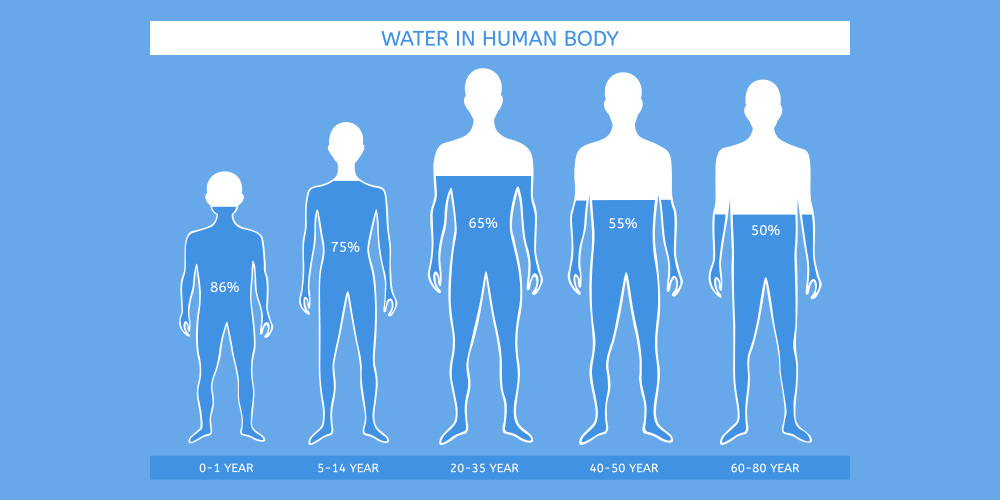 人体は水分でできている